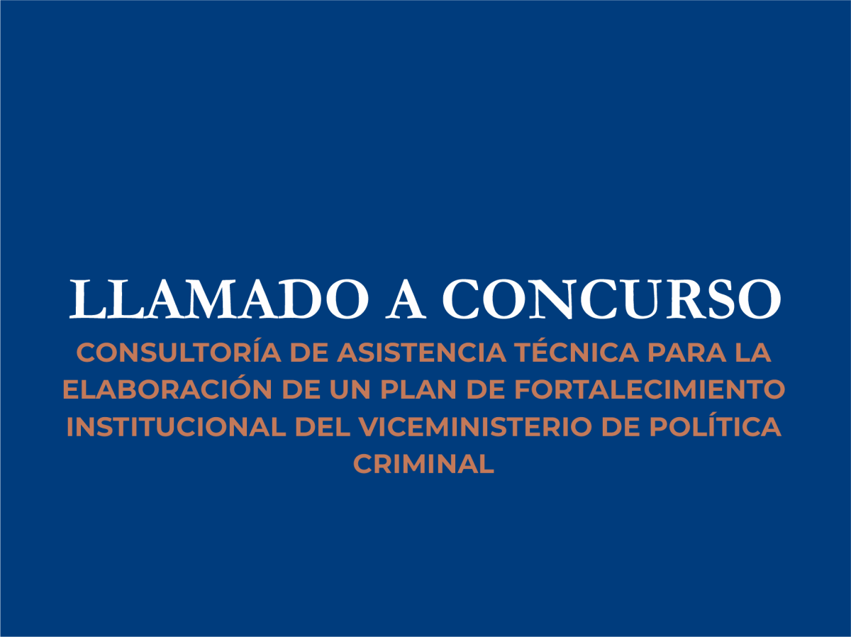 Llamado a concurso para la elaboración de un plan de fortalecimiento del Viceministerio de Política Criminal.